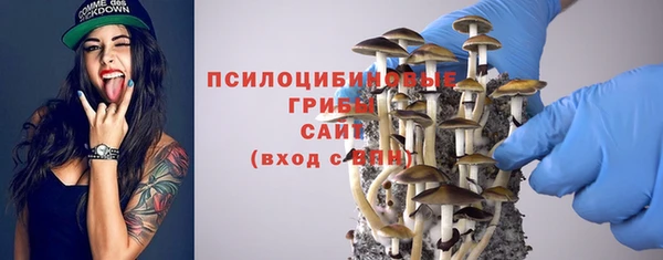 2c-b Алексин