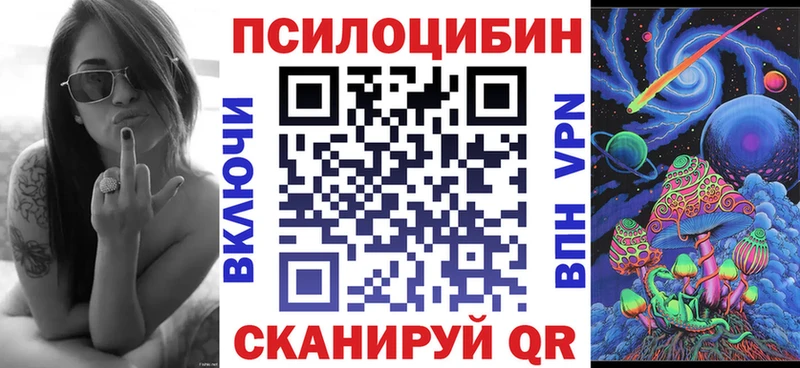 hydra ТОР  купить наркотик  Чадан  Псилоцибиновые грибы мицелий 